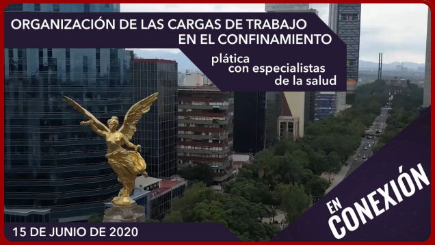 Organización de las cargas y condiciones de trabajo en el confinamiento