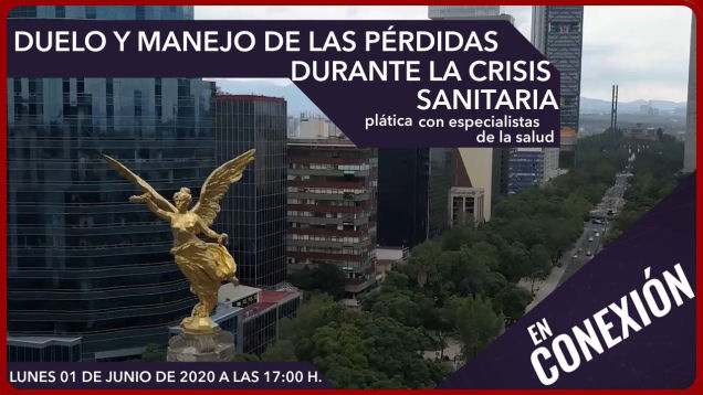 Duelo y manejo de las pérdidas durante la crisis sanitaria