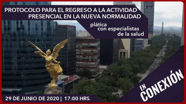 Protocolo para el regreso a la actividad presencial en la nueva normalidad
