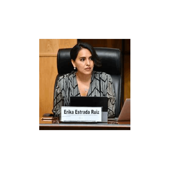 Consejera Erika Estrada Ruiz