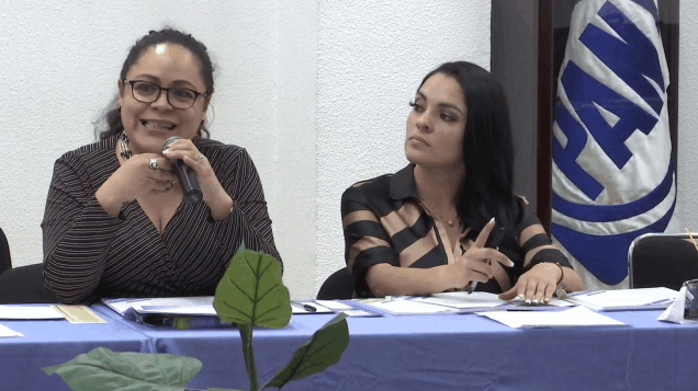 •	Curso en el Partido Acción Nacional sobre la Violencia Política en Razón de Género, IECM. (Primera parte), marzo 2020