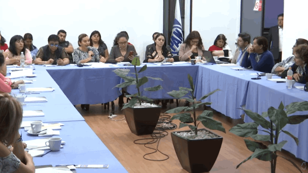 Curso en el Partido Acción Nacional sobre la Violencia Política en Razón de Género, IECM. (2a parte), marzo 2020